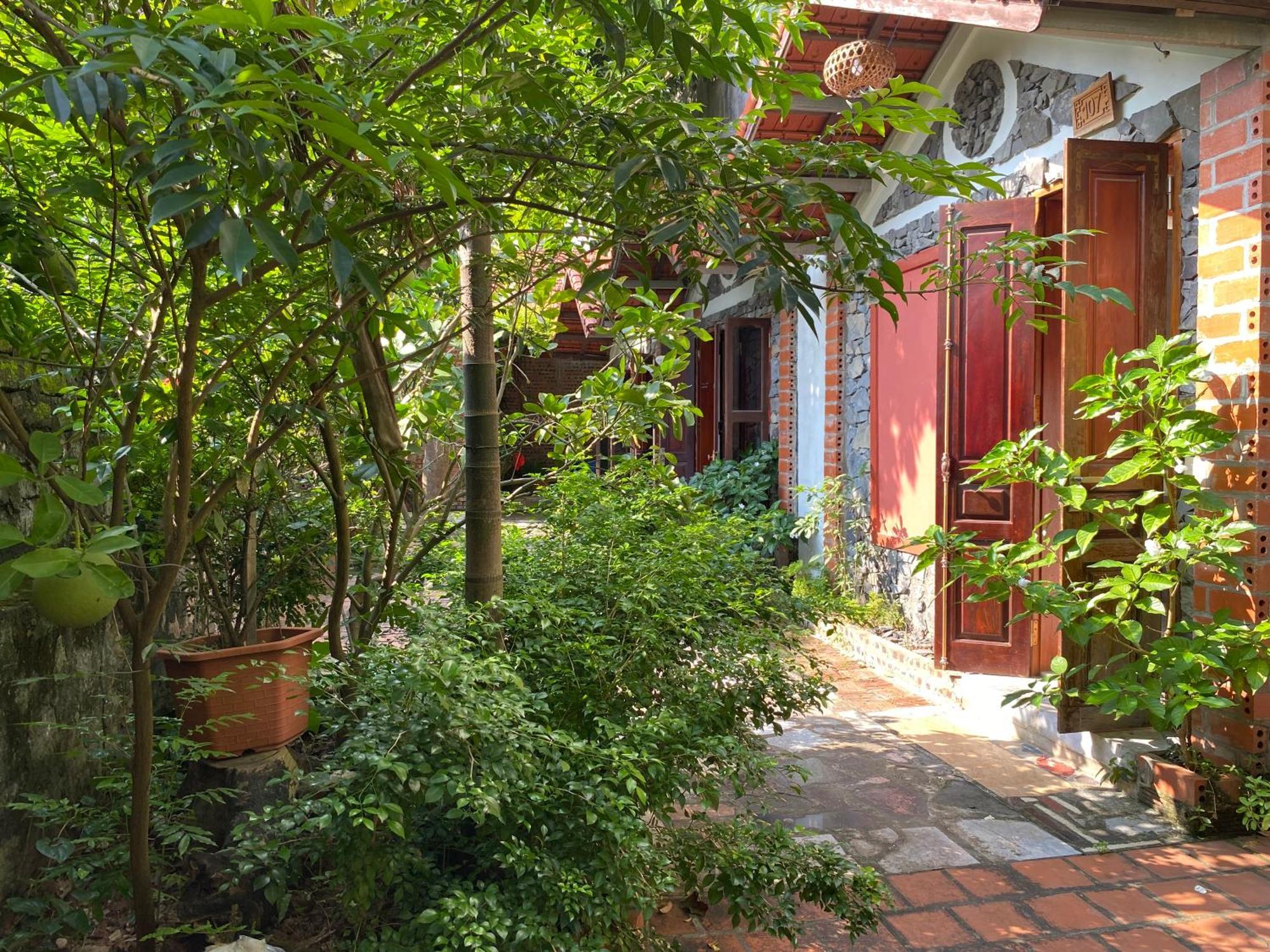Tam Coc Ngo Dong Homestay Ninh Binh Luaran gambar